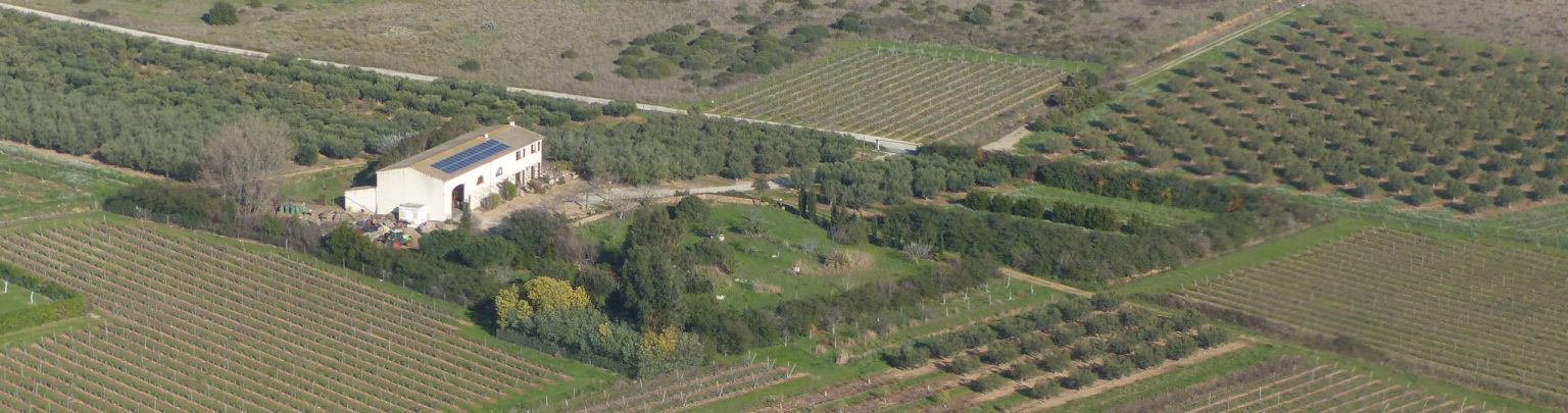 Vue aérienne du domaine Lupia à Sérignan