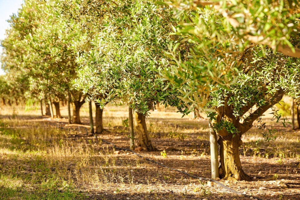 Certification Haute Valeur Environnementale