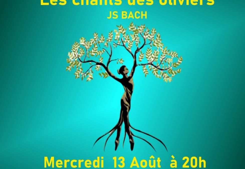 Les chants des oliviers
