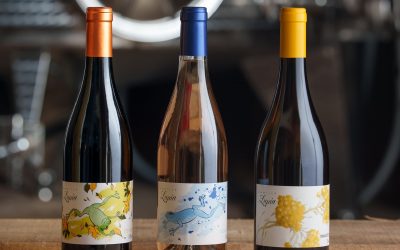 Domaine viticole à Sérignan : médaille d’or aux Vinalies France 2026