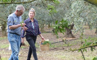 Cueillette plantes sauvages 2026